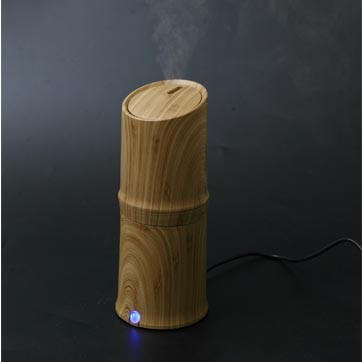 X'inhu Diffuser?