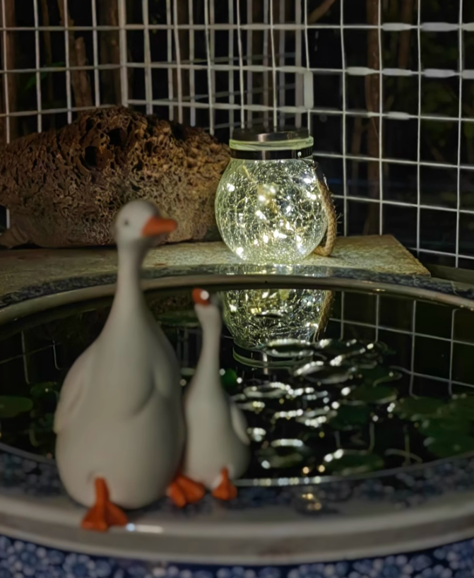 Niltaqgħu ma' Lejl Poetiku! Ambience Dawl Żgħir Iddawwal Rokna Mikro Romantika